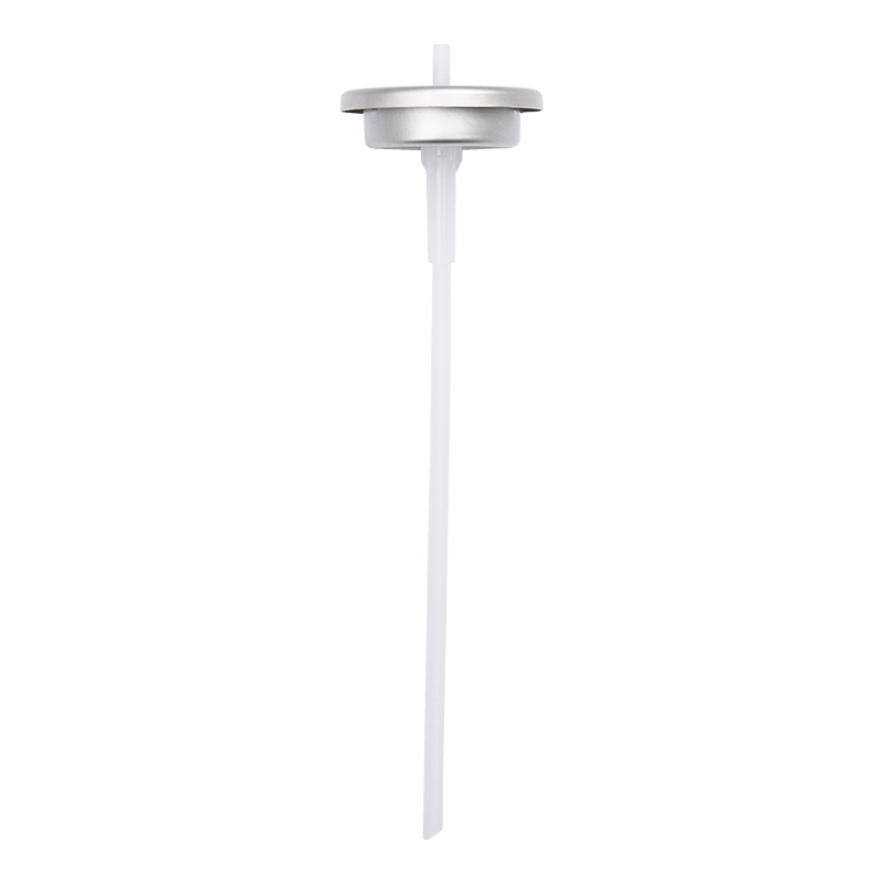 One Inch Valve